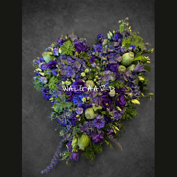 Blomsterhjerte � Lilla &amp; Bl�