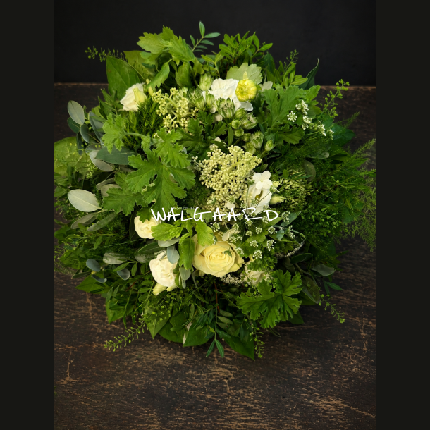 Rococo � Hvid