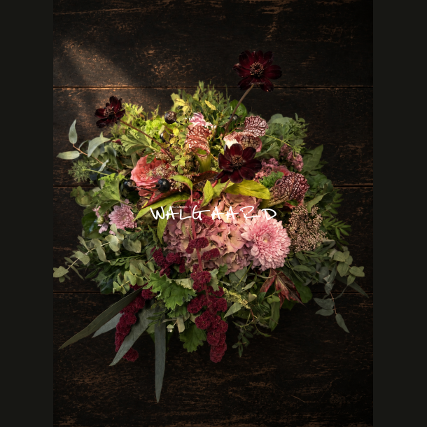 Rococo � Rosa &amp; Bordeaux