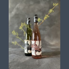 Crudo 1 hvidvin & 1 rose