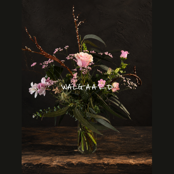 � la walgaard � Rosa
